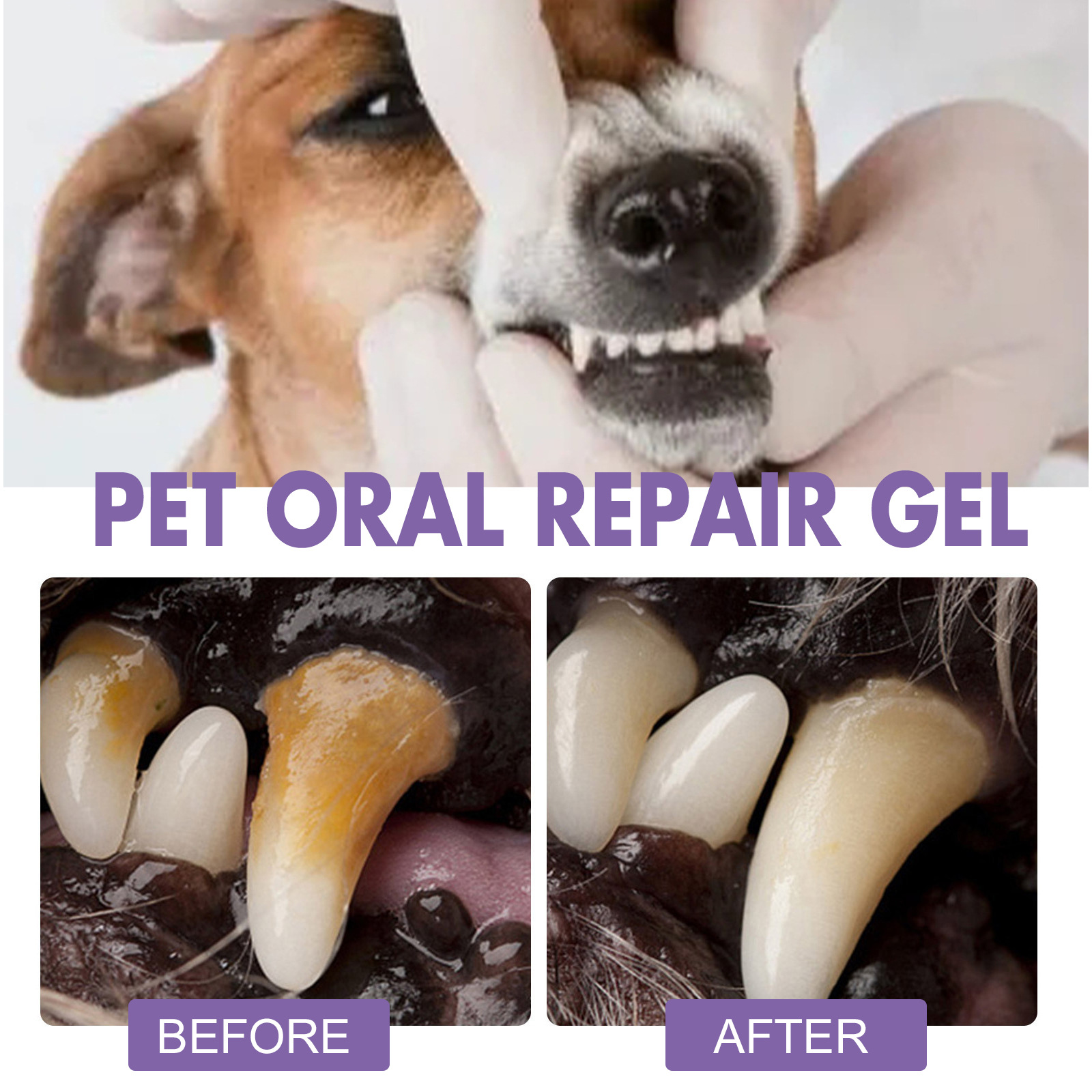 Gel de réparation orale pour a - Teeth Whitening Results avis et prix